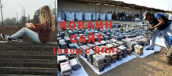 индика Ладушкин