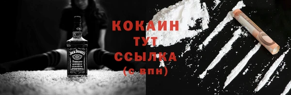индика Ладушкин