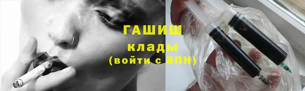 индика Ладушкин
