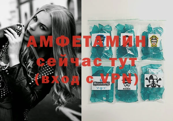 индика Ладушкин