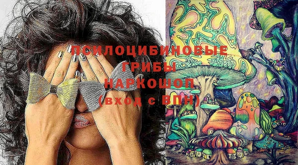 индика Ладушкин