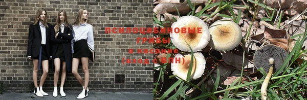 индика Ладушкин