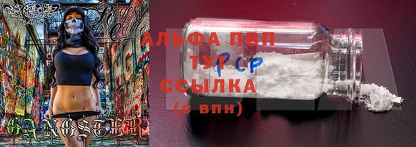 индика Ладушкин