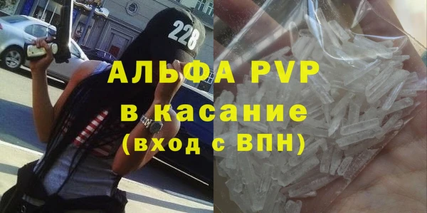 индика Ладушкин