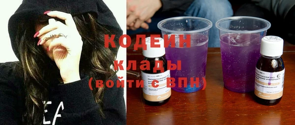 индика Ладушкин