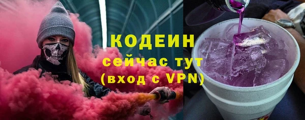 индика Ладушкин