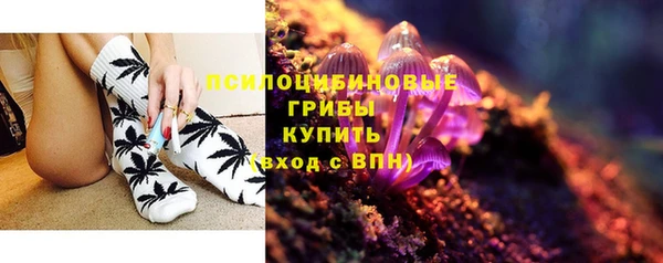 индика Ладушкин