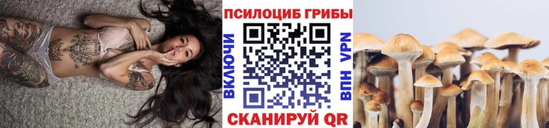 Галлюциногенные грибы мухоморы  купить  цена  Калтан 
